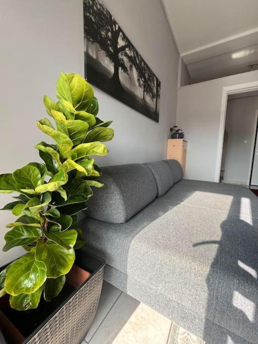 Maria'S Sunlit Apartment Pireo Esterno foto
